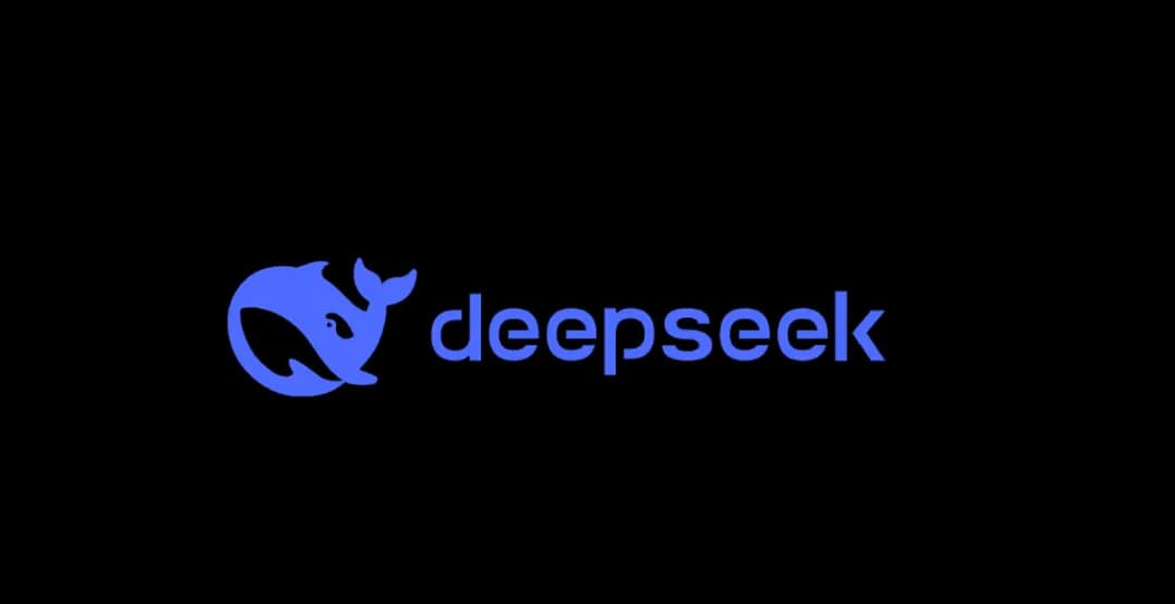 DeepSeek Visual Guide: A 10-Page PDF Explainer