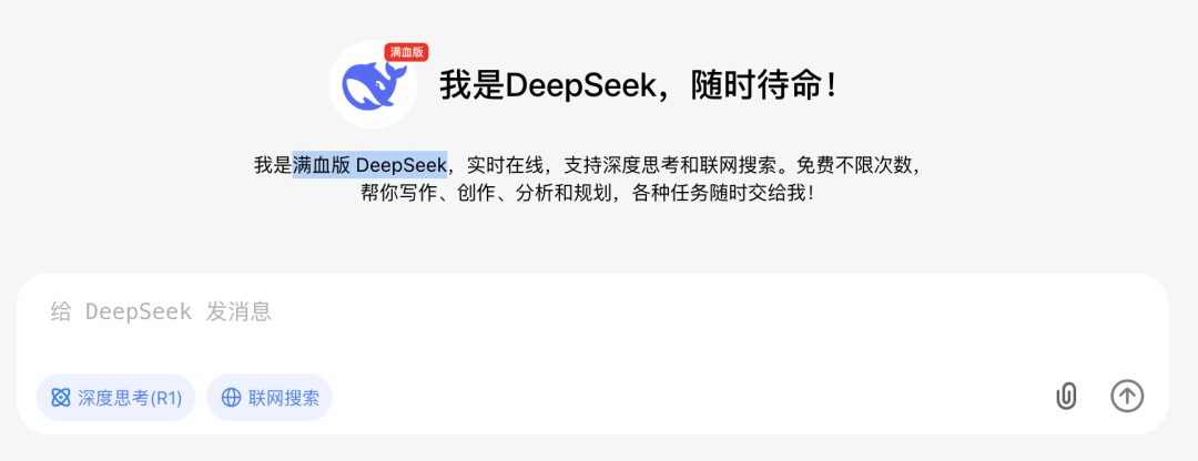 DeepSeek满血版在线使用预览