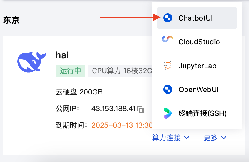 DeepSeek个人知识库预览